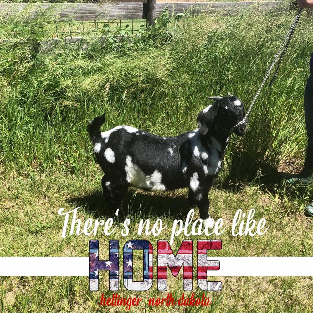 Meet your Posher, Leann